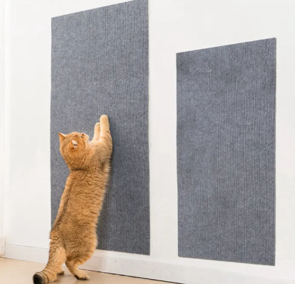 Adhesive scratch pad