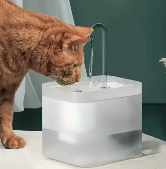 Water fountain