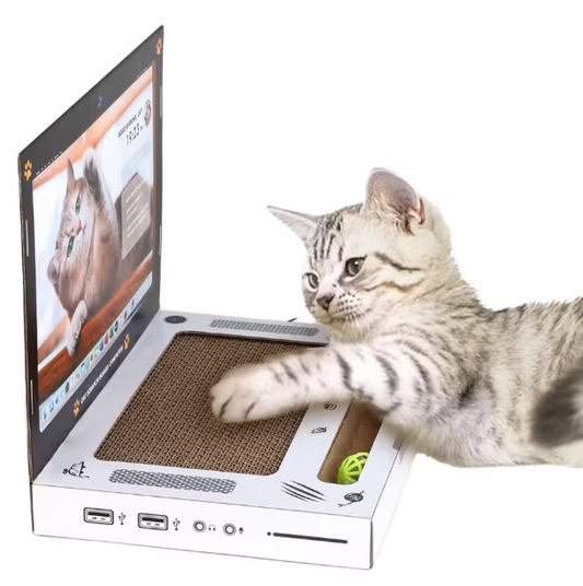 Laptop Scratcher